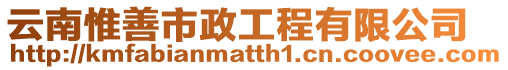 云南惟善市政工程有限公司