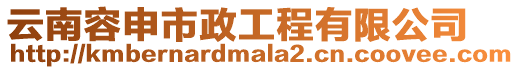 云南容申市政工程有限公司