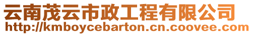 云南茂云市政工程有限公司