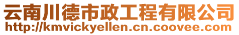 云南川德市政工程有限公司