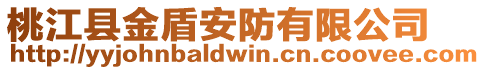 桃江縣金盾安防有限公司