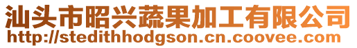 汕頭市昭興蔬果加工有限公司