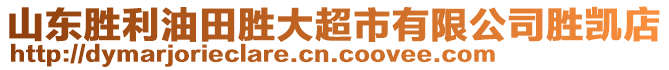 山東勝利油田勝大超市有限公司勝凱店