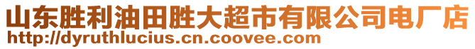 山東勝利油田勝大超市有限公司電廠店