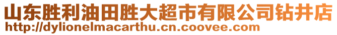 山東勝利油田勝大超市有限公司鉆井店