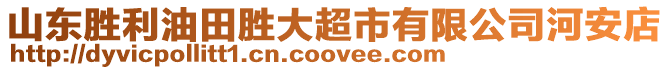 山東勝利油田勝大超市有限公司河安店