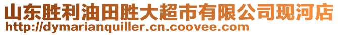 山東勝利油田勝大超市有限公司現(xiàn)河店