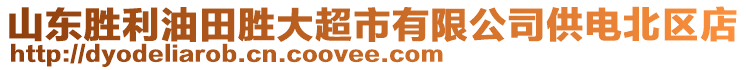 山東勝利油田勝大超市有限公司供電北區(qū)店