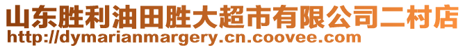 山東勝利油田勝大超市有限公司二村店