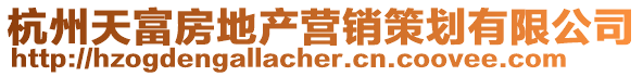 杭州天富房地產(chǎn)營銷策劃有限公司