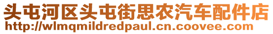 頭屯河區(qū)頭屯街思農(nóng)汽車配件店