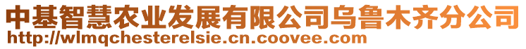 中基智慧農(nóng)業(yè)發(fā)展有限公司烏魯木齊分公司