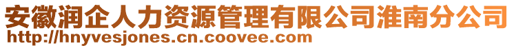 安徽潤企人力資源管理有限公司淮南分公司