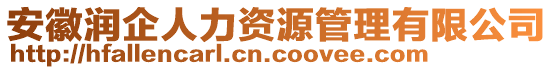 安徽潤企人力資源管理有限公司