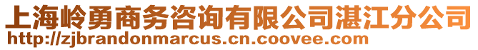 上海嶺勇商務(wù)咨詢有限公司湛江分公司