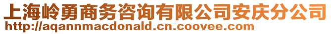 上海嶺勇商務(wù)咨詢有限公司安慶分公司