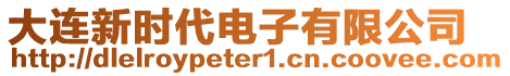 大連新時(shí)代電子有限公司