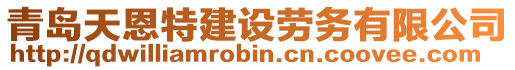 青島天恩特建設(shè)勞務(wù)有限公司