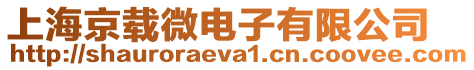 上海京載微電子有限公司