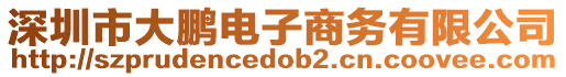深圳市大鵬電子商務有限公司