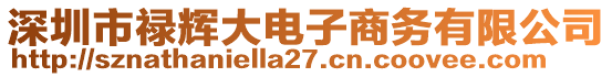 深圳市祿輝大電子商務(wù)有限公司