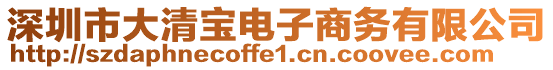 深圳市大清寶電子商務(wù)有限公司