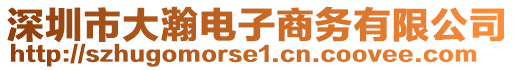 深圳市大瀚電子商務(wù)有限公司