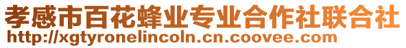 孝感市百花蜂業專業合作社聯合社