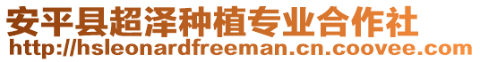 安平縣超澤種植專業合作社