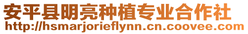 安平縣明亮種植專業合作社