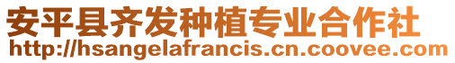 安平縣齊發種植專業合作社