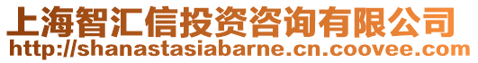 上海智匯信投資咨詢有限公司