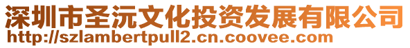 深圳市圣沅文化投資發(fā)展有限公司