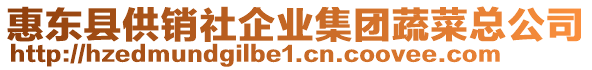 惠東縣供銷社企業(yè)集團(tuán)蔬菜總公司