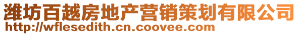 濰坊百越房地產營銷策劃有限公司