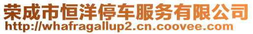 榮成市恒洋停車服務(wù)有限公司