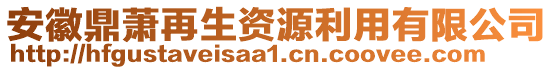 安徽鼎蕭再生資源利用有限公司