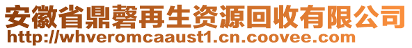 安徽省鼎磬再生資源回收有限公司