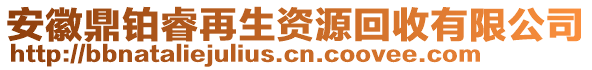 安徽鼎鉑睿再生資源回收有限公司