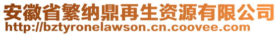 安徽省繁納鼎再生資源有限公司