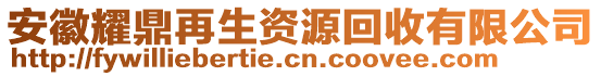 安徽耀鼎再生資源回收有限公司