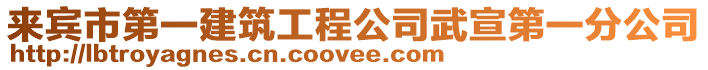 來(lái)賓市第一建筑工程公司武宣第一分公司