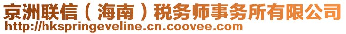 京洲聯(lián)信（海南）稅務師事務所有限公司