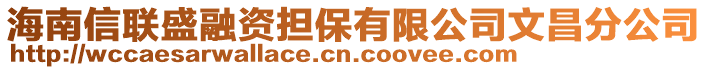 海南信聯盛融資擔保有限公司文昌分公司