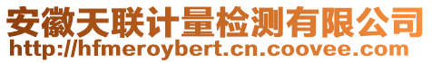 安徽天聯計量檢測有限公司