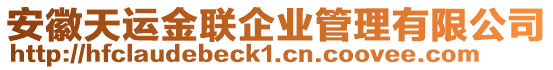 安徽天運金聯企業管理有限公司