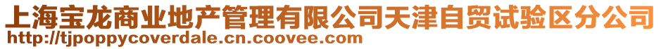 上海寶龍商業地產管理有限公司天津自貿試驗區分公司