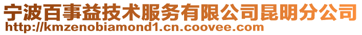 寧波百事益技術(shù)服務(wù)有限公司昆明分公司