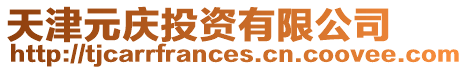 天津元慶投資有限公司