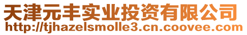 天津元豐實(shí)業(yè)投資有限公司
